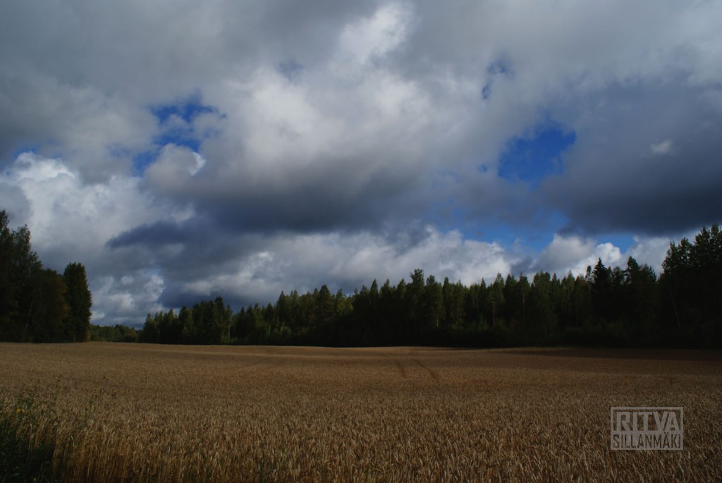 Clouds