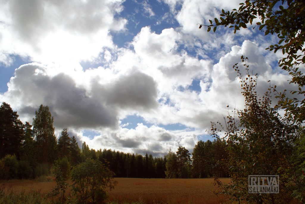 Clouds