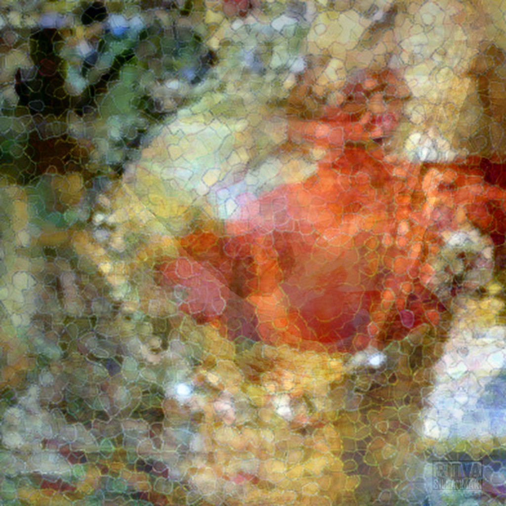 I wanted  the round shape