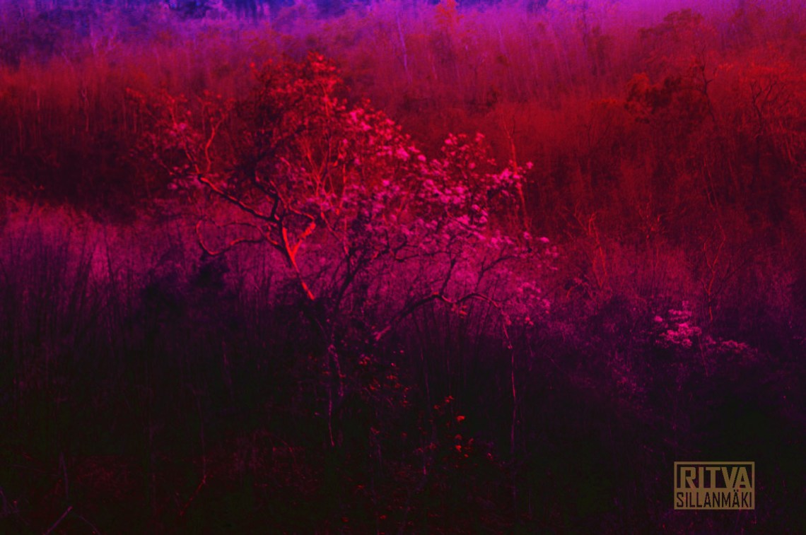 KONICA MINOLTA DIGITAL CAMERA