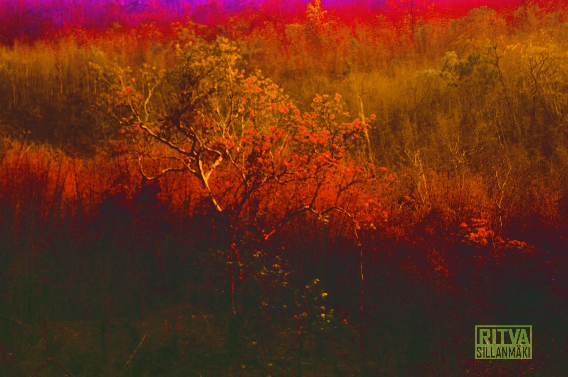 KONICA MINOLTA DIGITAL CAMERA