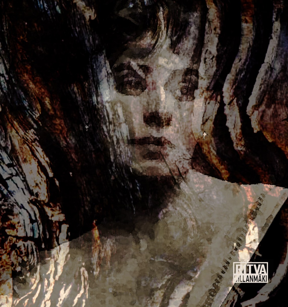 P1070636_zps6c38ebbc