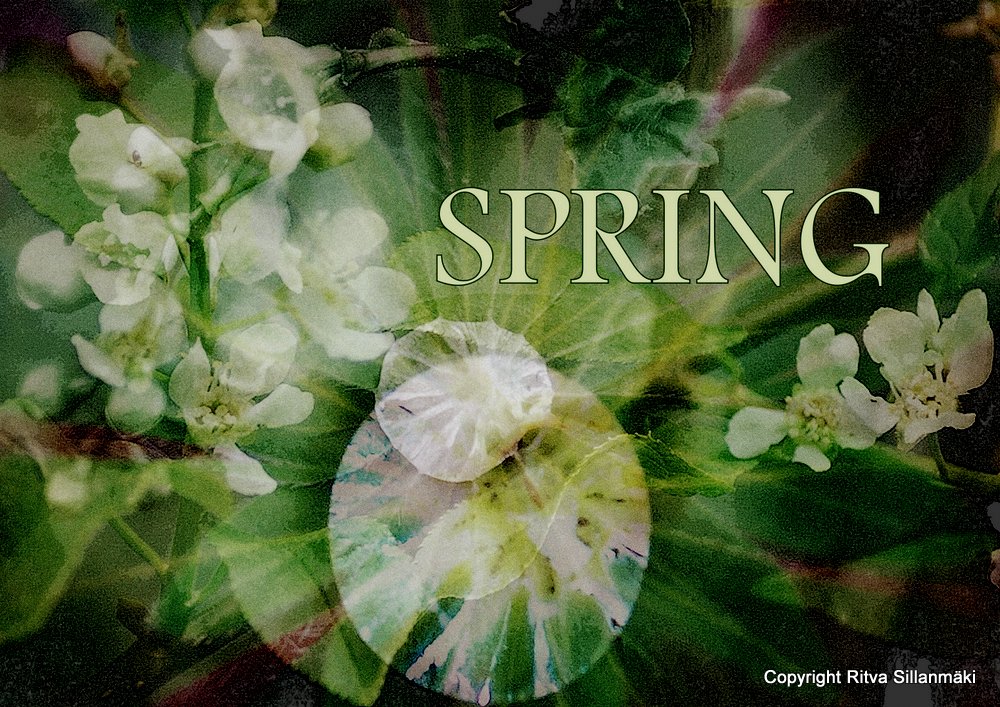 Spring