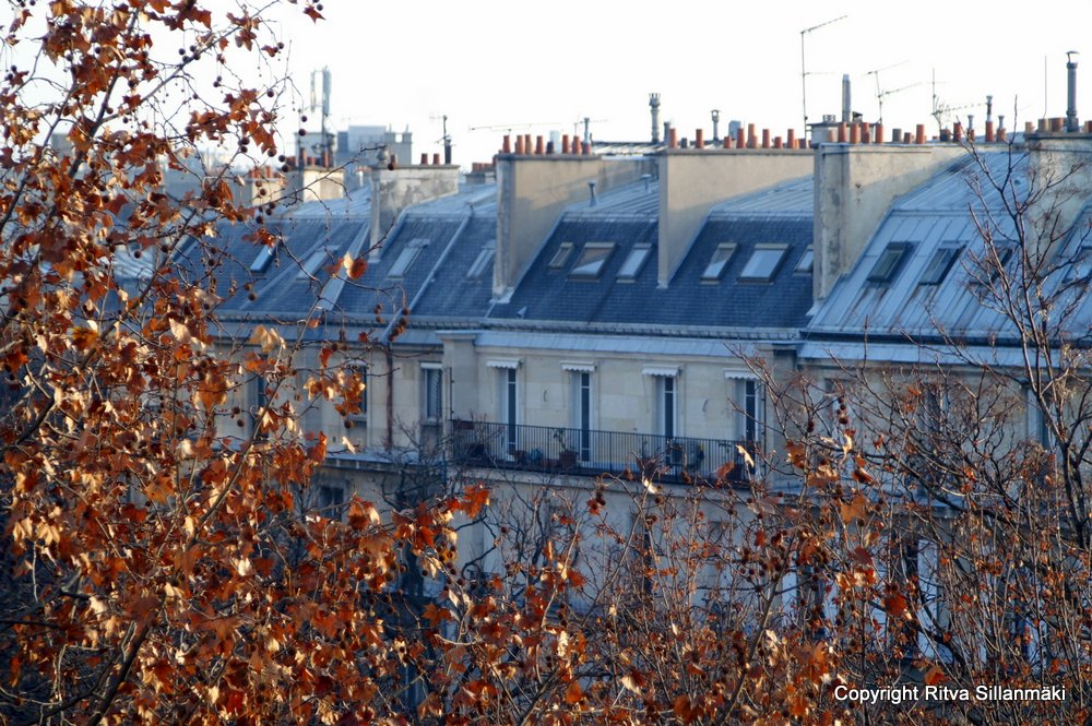 Paris roof top