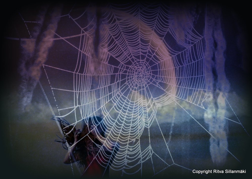 spiderweb