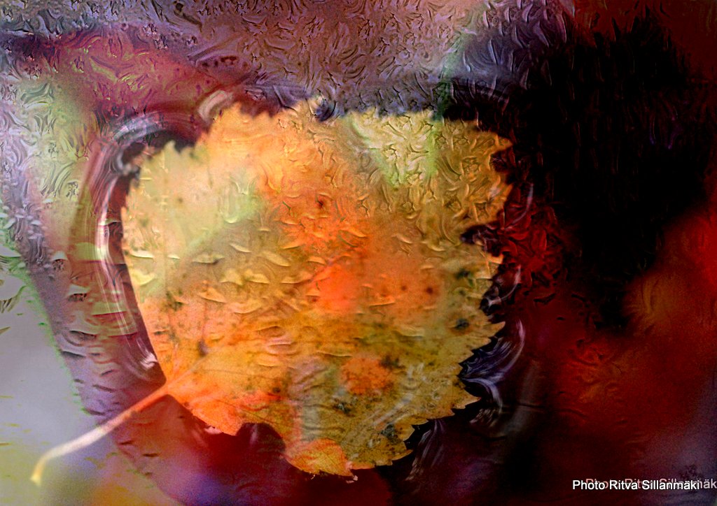 3-Hiljattain päivitetty53