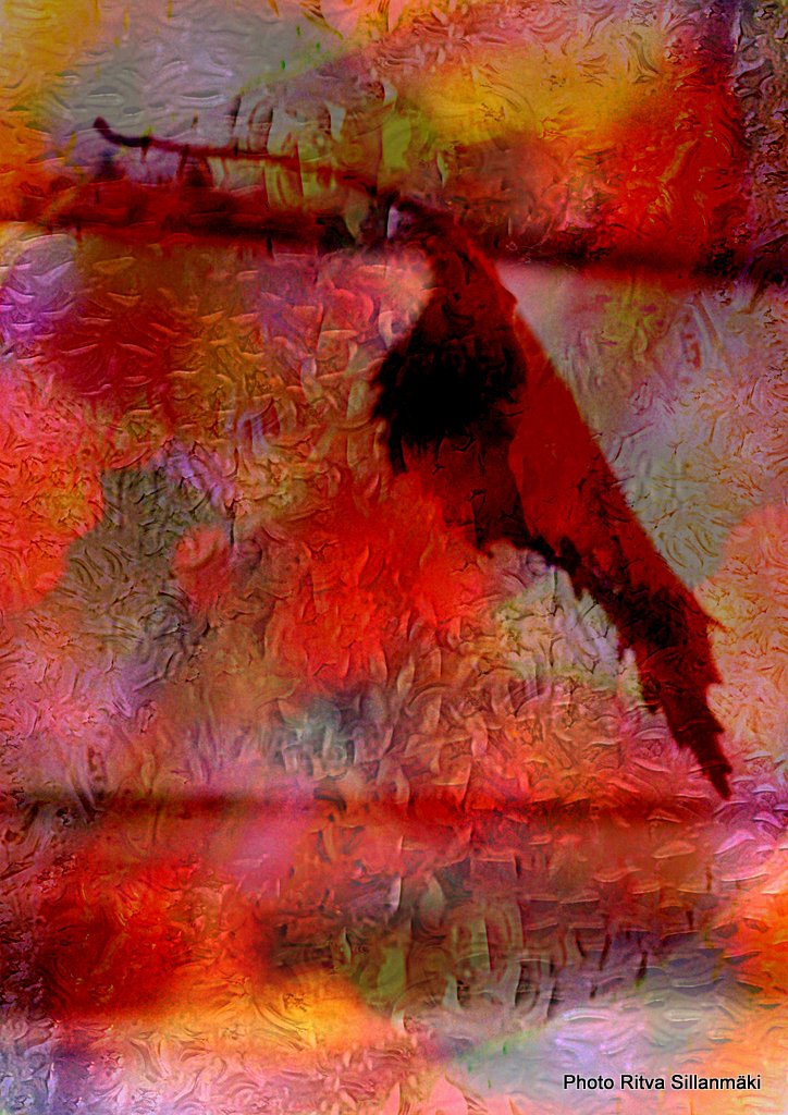 5-Hiljattain päivitetty51