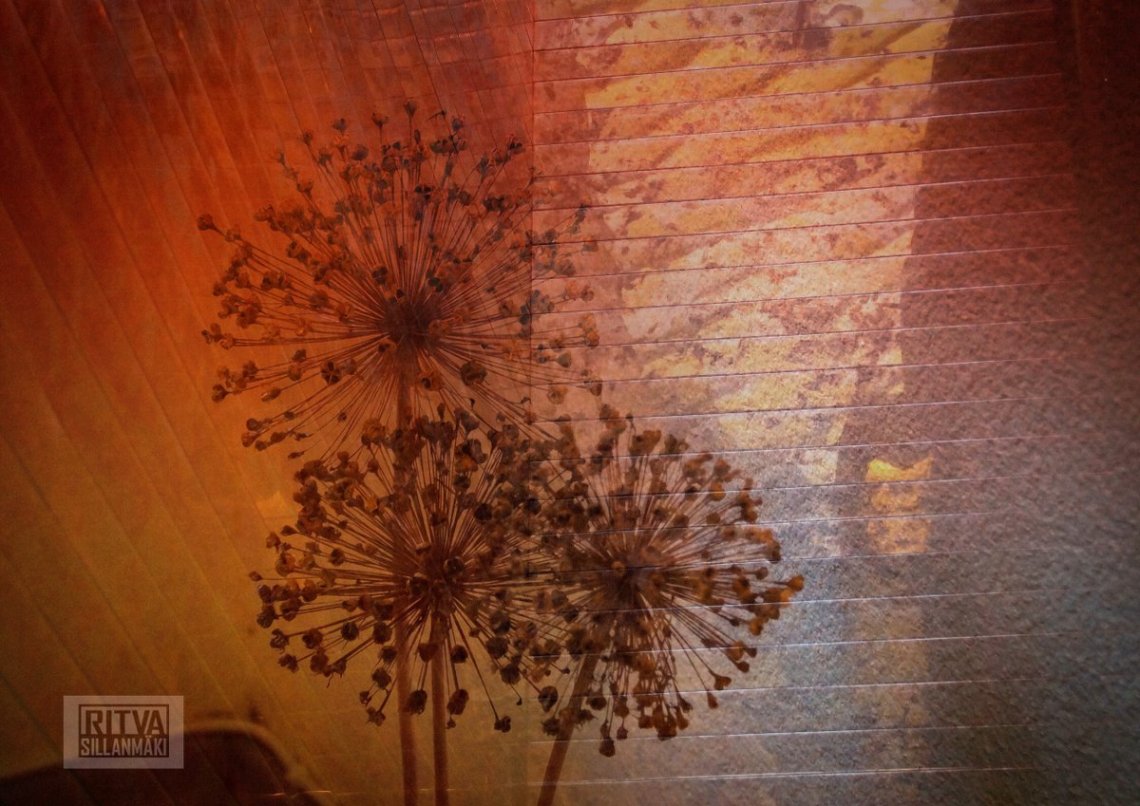 3-2013-11-08 irma, irene, Helsinki4