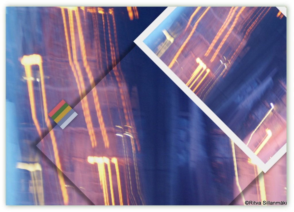 1-2013-11-22 kuihtunut ruusu