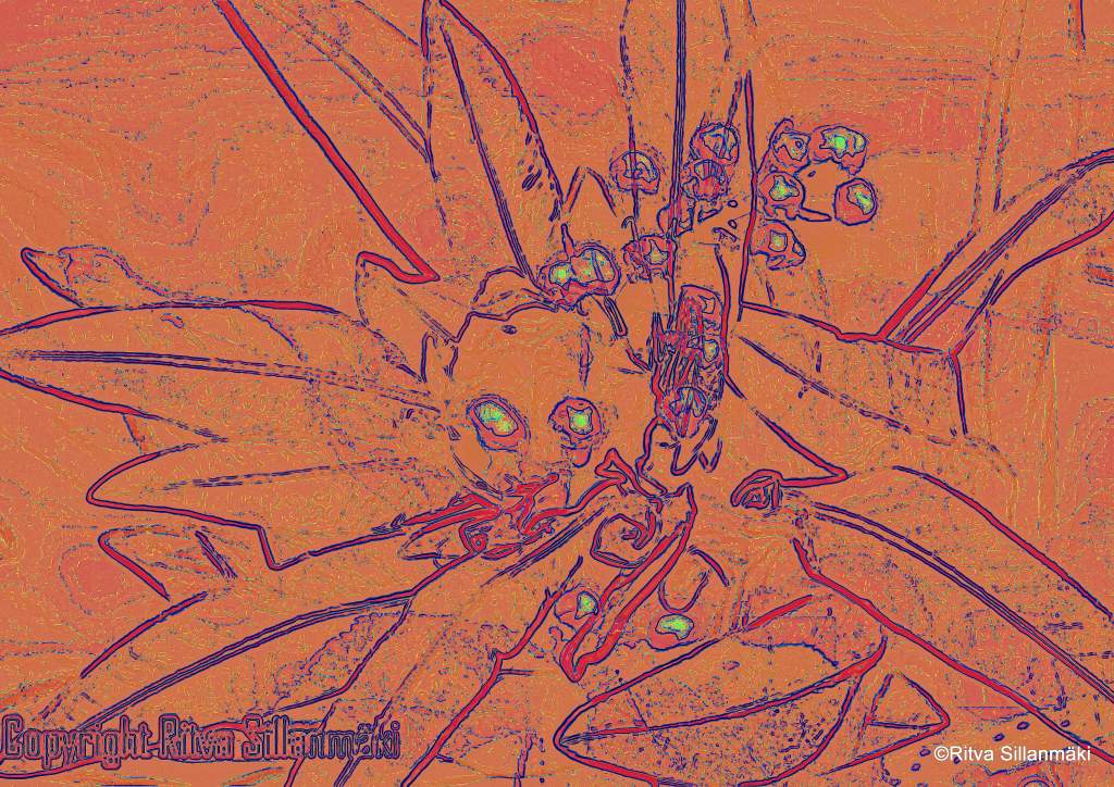 1-2013-05-19 Kevät kukat, Oliver Ruuhijärvi1