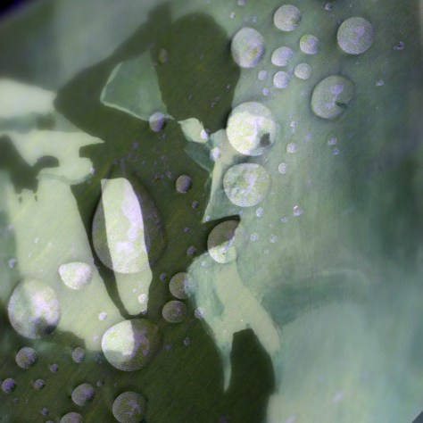 2014-05-04 kastepisarat3