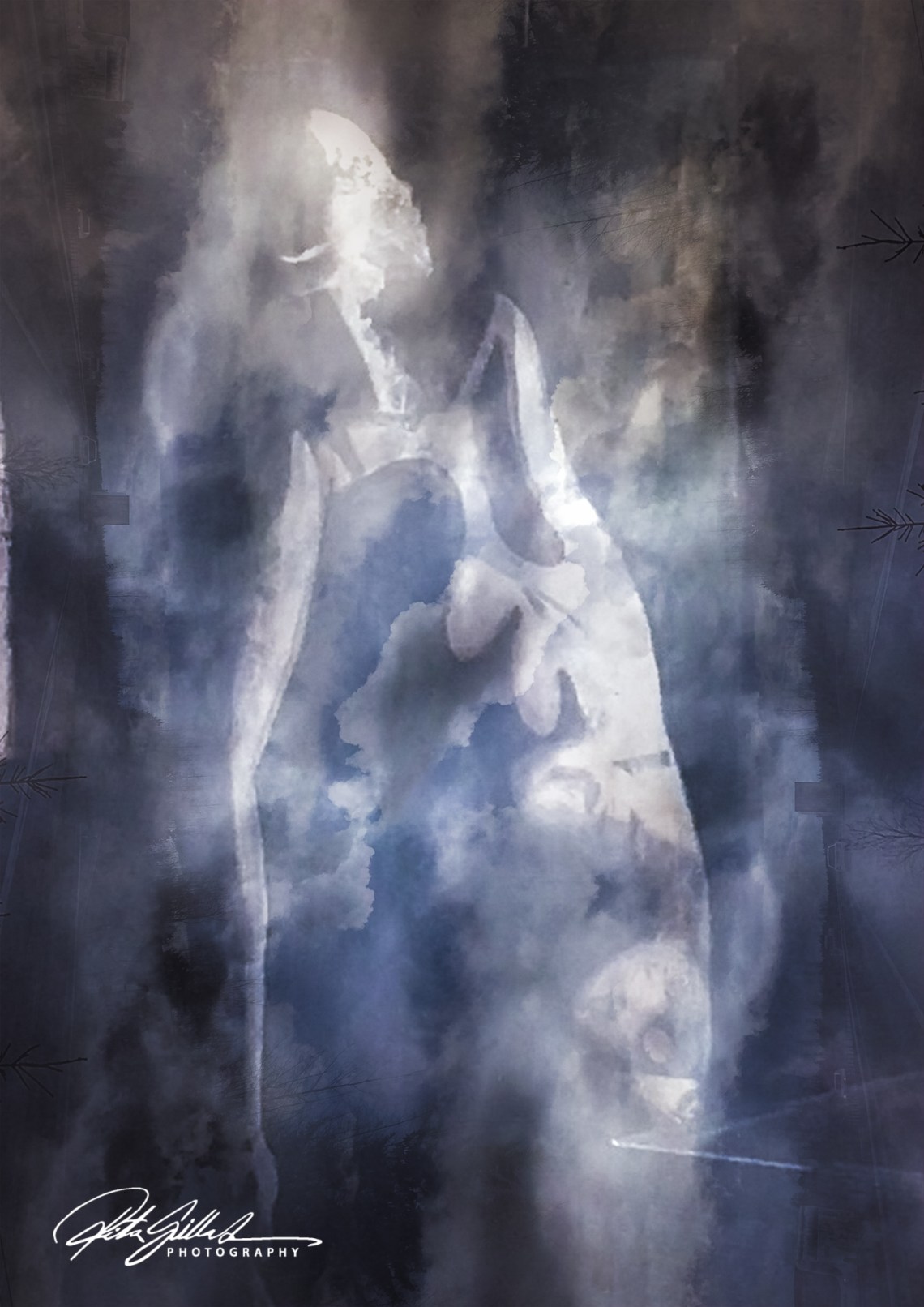 in the clouds (11 of 14).jpg